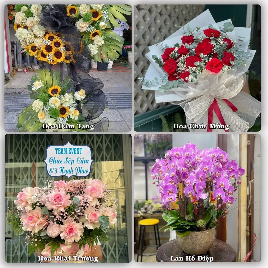Mẫu hoa tươi dành cho khách đặt hoa tại Đông Hà, Quảng Trị