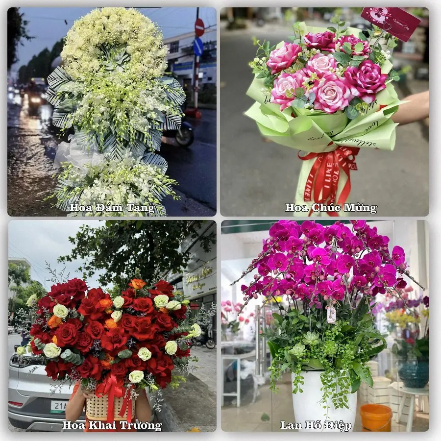 Tư vấn chọn hoa theo từng dịp tại Đông Hà, Quảng Trị