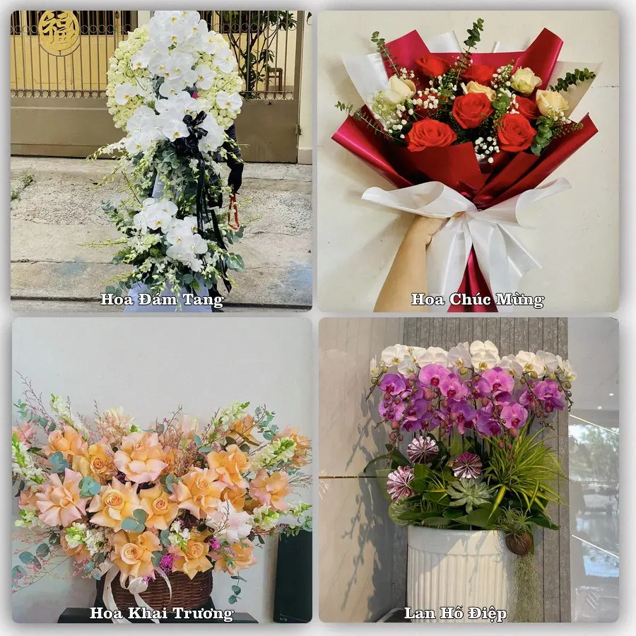 Mẫu hoa tươi dành cho khách đặt hoa tại Đồng Hới, Quảng Bình