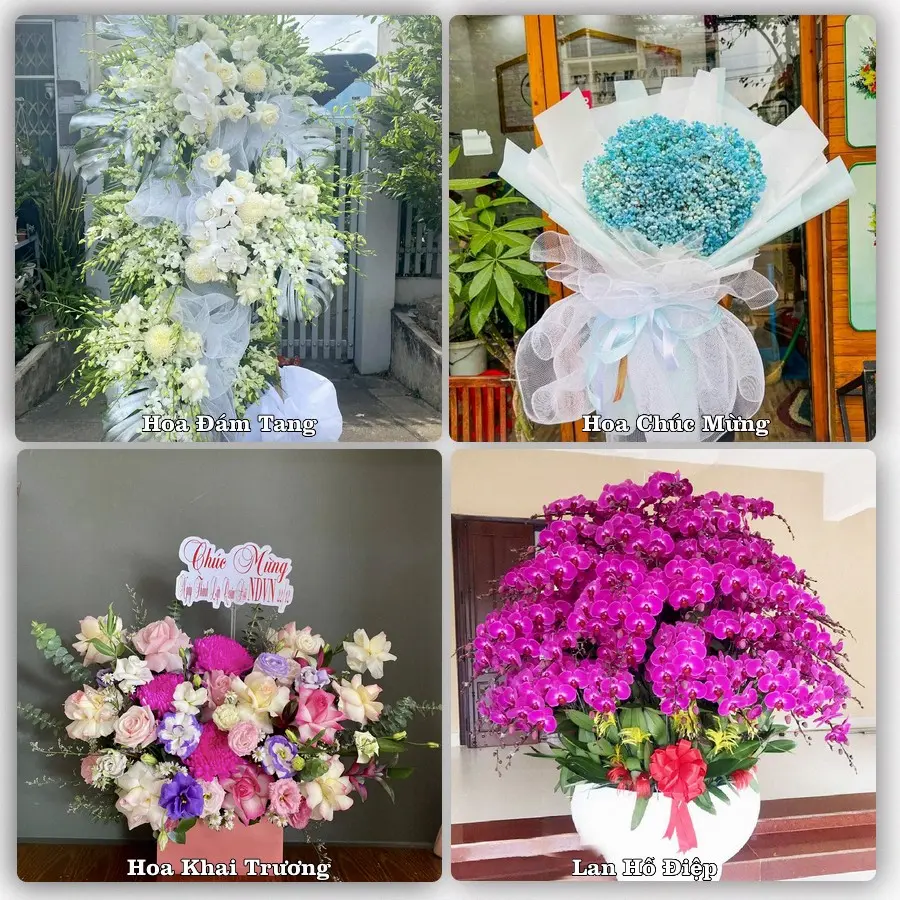 Tư vấn chọn hoa theo từng dịp tại Hạ Long, Quảng Ninh