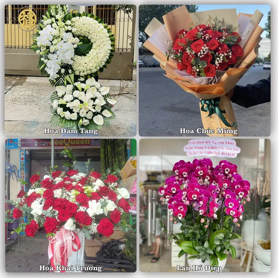 Mẫu hoa tươi dành cho khách đặt hoa tại Hải Dương