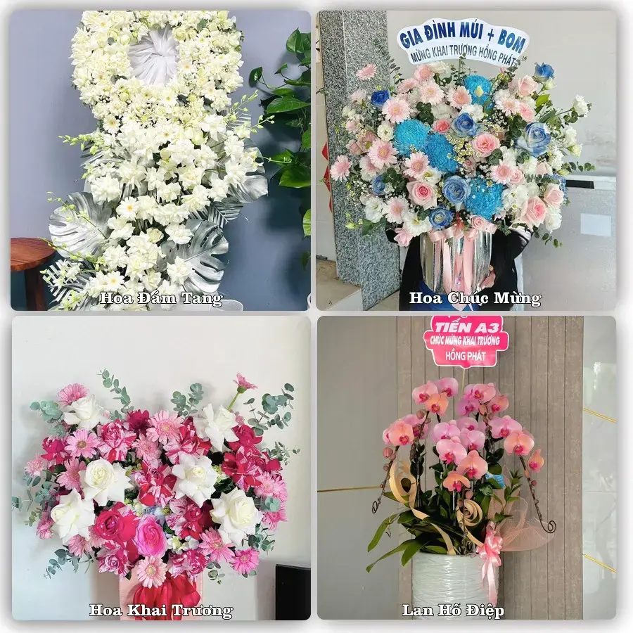 Tư vấn chọn hoa theo từng dịp tại Hòa Bình
