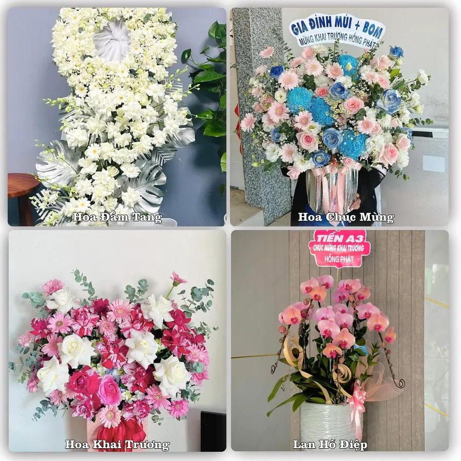 Tư vấn chọn hoa theo từng dịp tại Hòa Bình