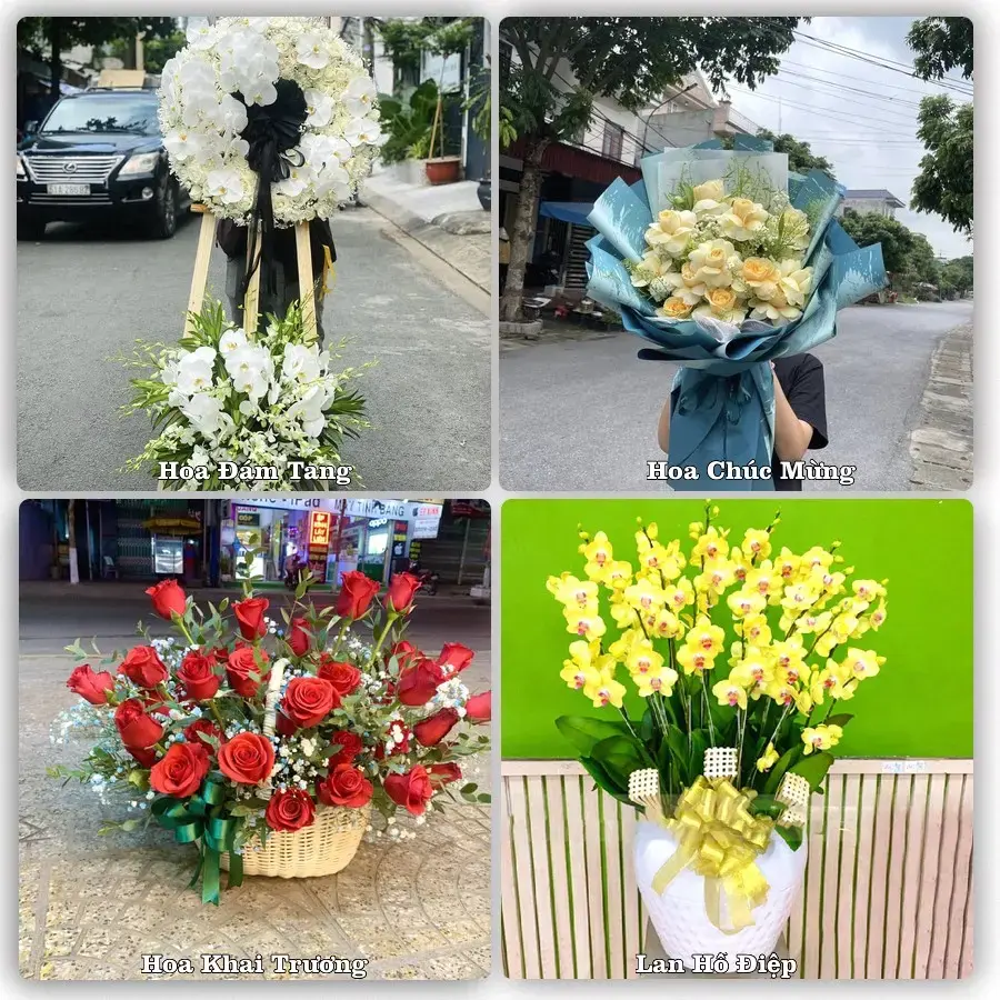Shop hoa tươi Hội An, Quảng Nam – Giao tận nơi trong 2 giờ