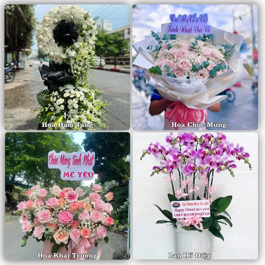 Tư vấn chọn hoa theo từng dịp tại Hội An, Quảng Nam