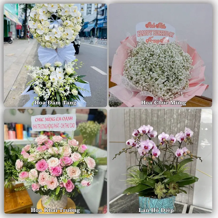 Tư vấn chọn hoa theo từng dịp tại Huế, Thừa Thiên Huế