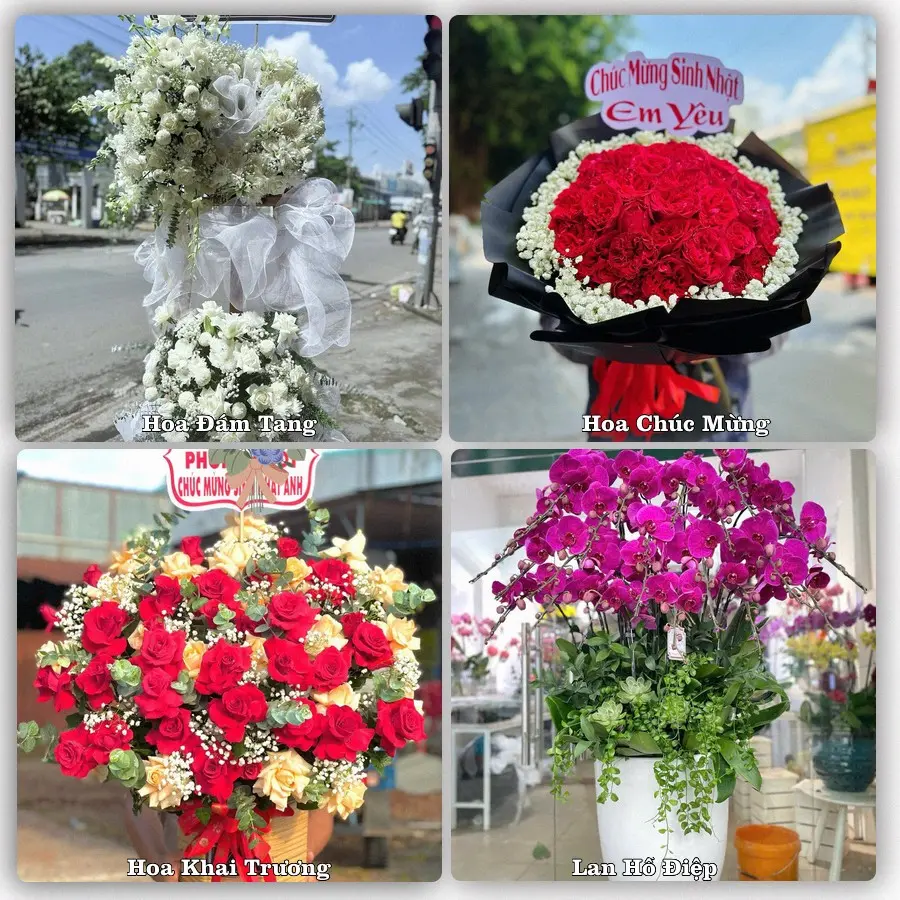 Mẫu hoa tươi dành cho khách đặt hoa tại Hưng Yên