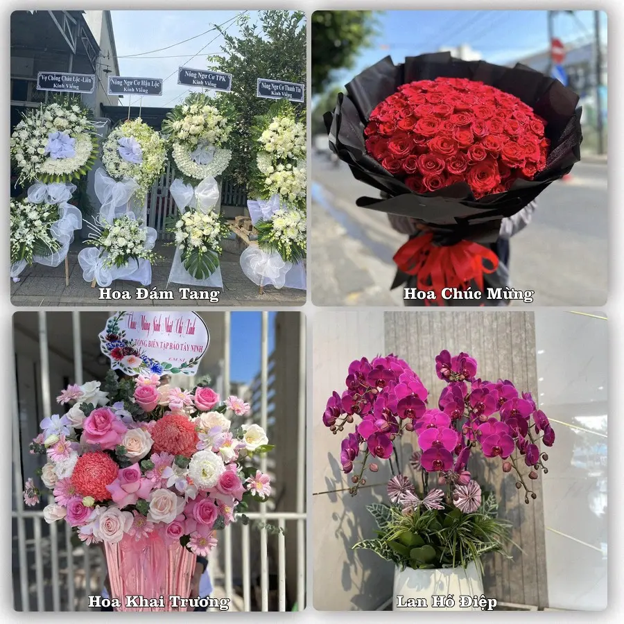 Tư vấn chọn hoa theo từng dịp tại Lai Châu