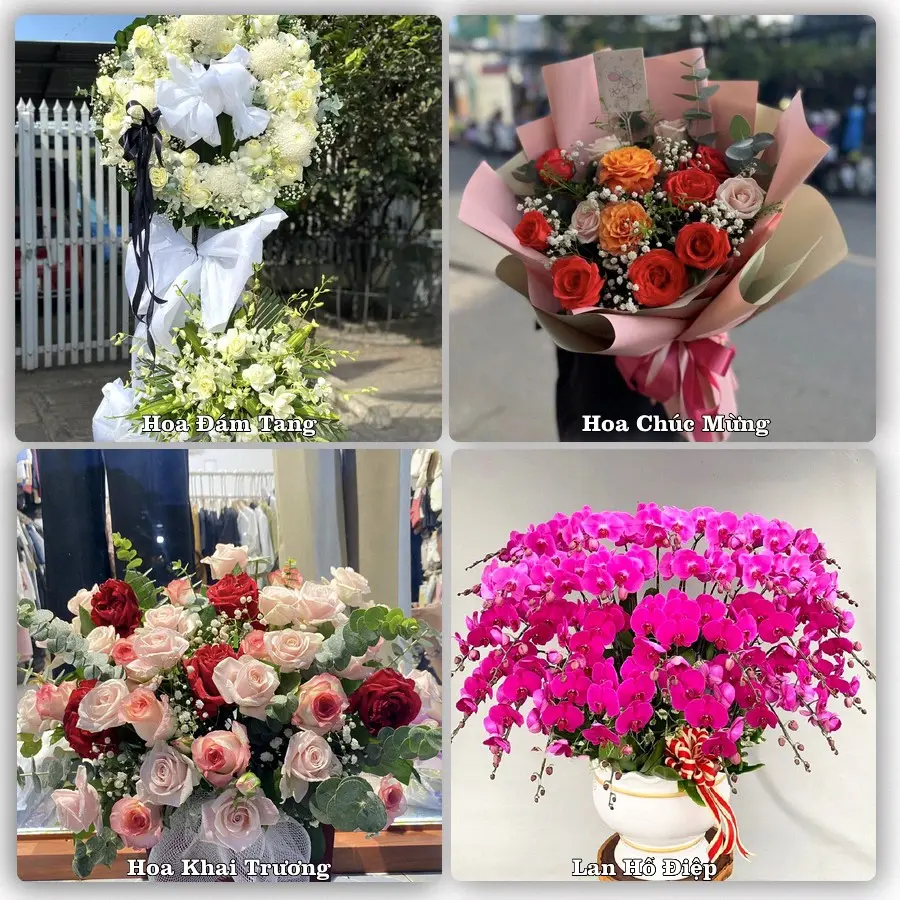 Mẫu hoa tươi dành cho khách đặt hoa tại Lạng Sơn