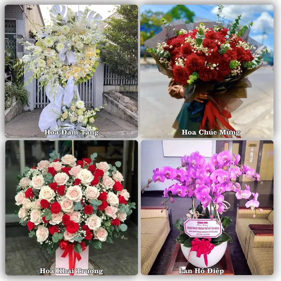 Shop hoa tươi Lào Cai – Giao tận nơi trong 2 giờ