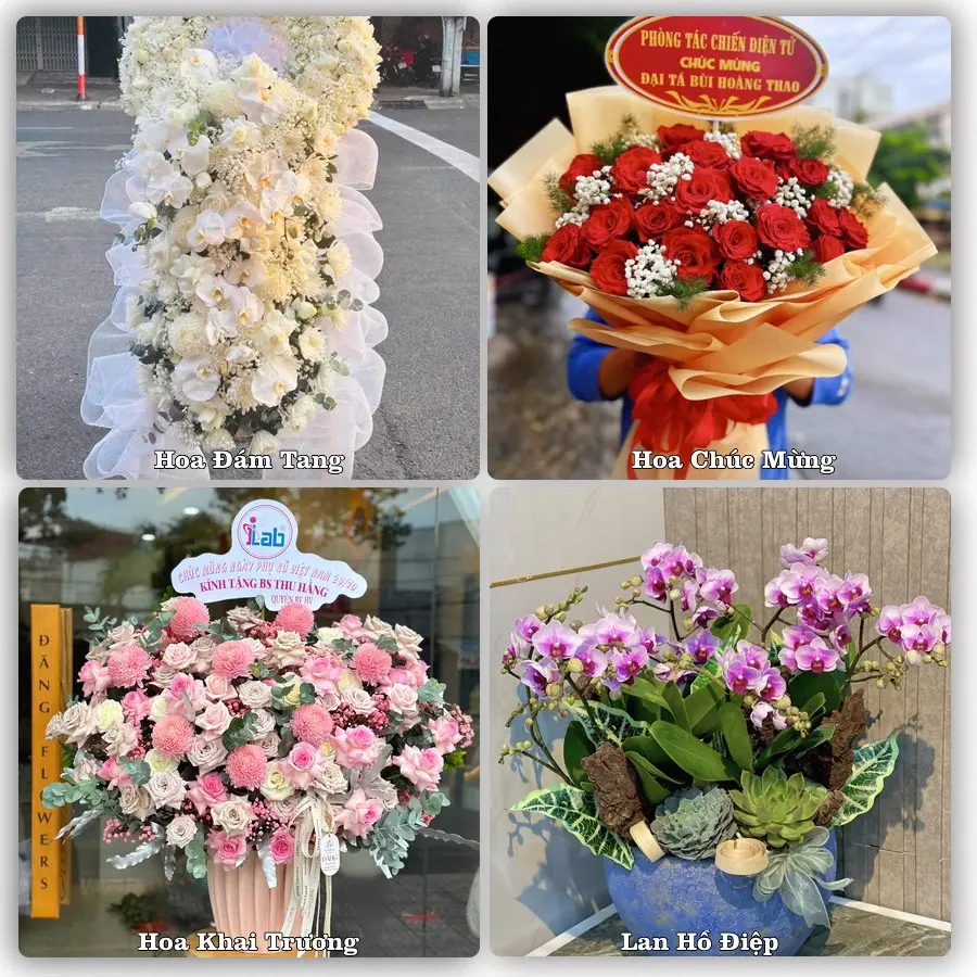 Tư vấn chọn hoa theo từng dịp tại Nha Trang, Khánh Hòa
