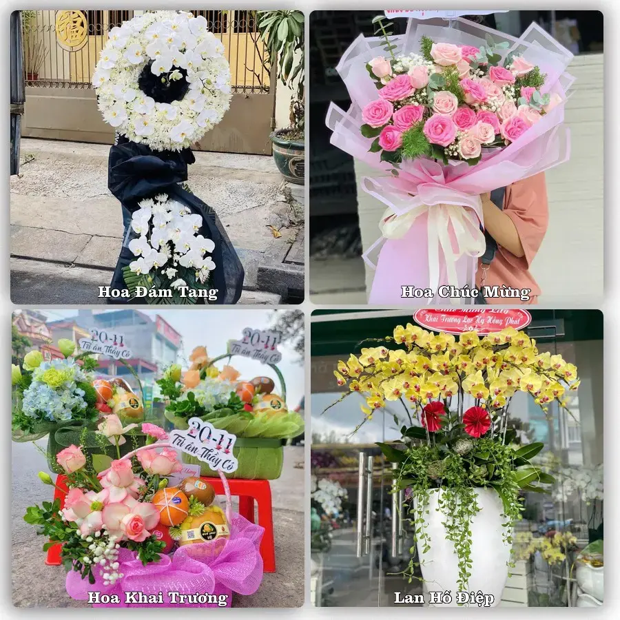 Shop hoa tươi Ninh Bình – Giao tận nơi trong 2 giờ