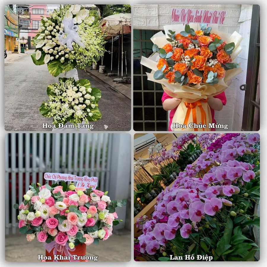 Tư vấn chọn hoa theo từng dịp tại Phan Rang-Tháp Chàm, Ninh Thuận