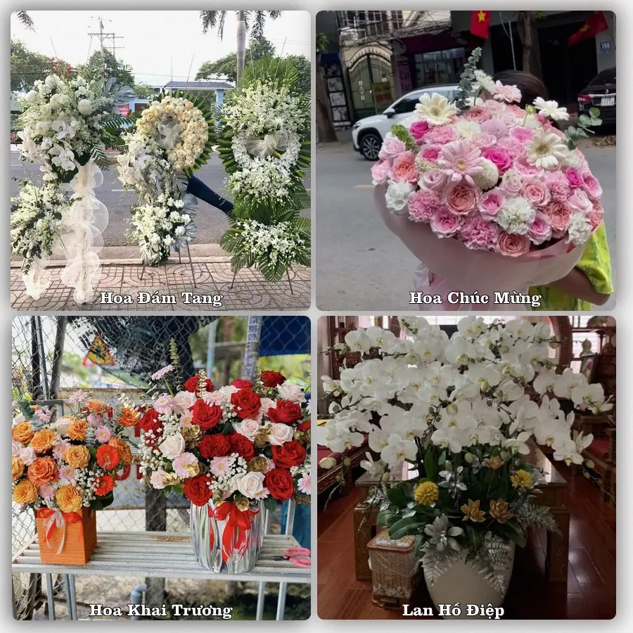 Mẫu hoa tươi dành cho khách đặt hoa tại Phổ Yên, Thái Nguyên