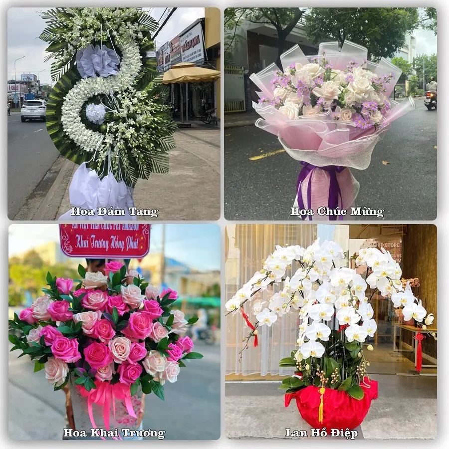 Mẫu hoa tươi dành cho khách đặt hoa tại Phủ Lý, Hà Nam