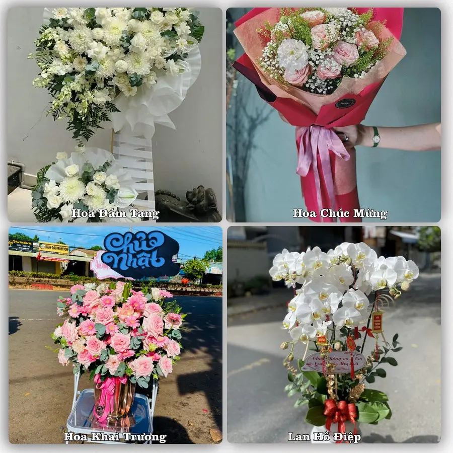 Mẫu hoa tươi dành cho khách đặt hoa tại Quảng Ngãi