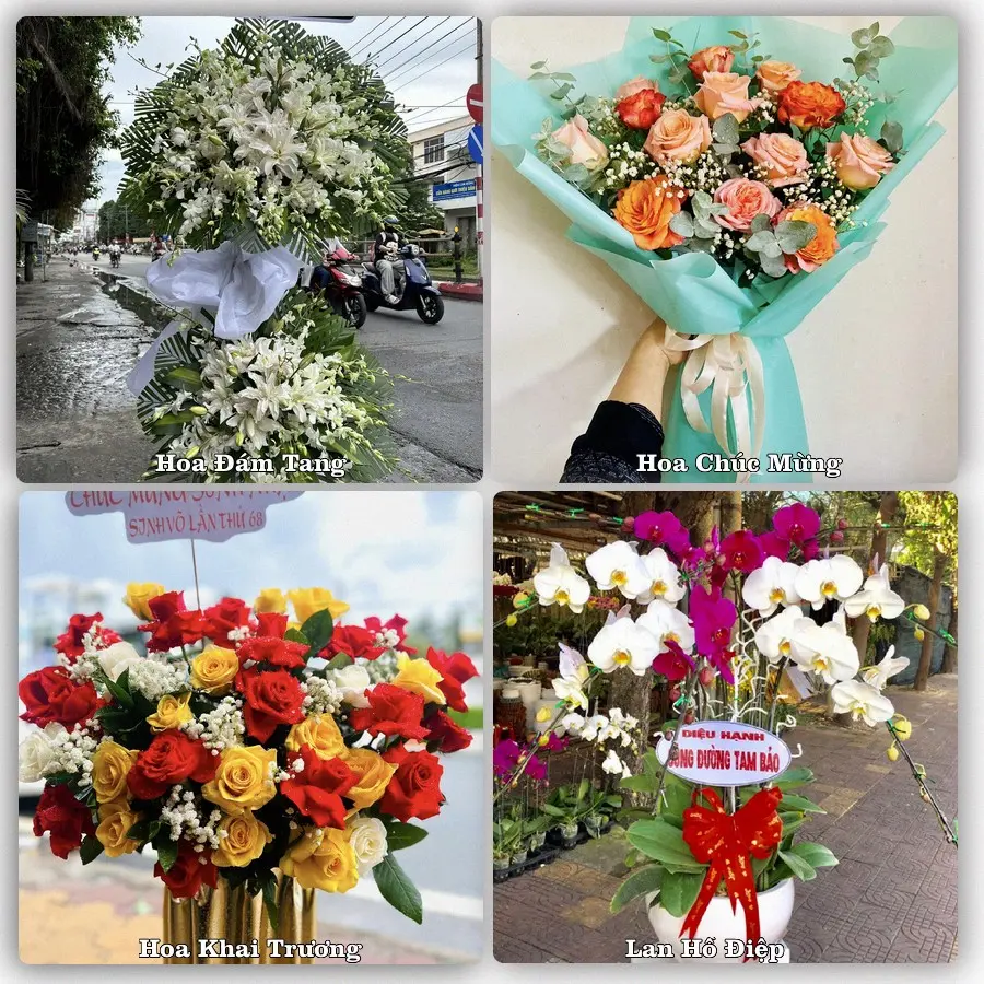 Tư vấn chọn hoa theo từng dịp tại Quy Nhơn, Bình Định