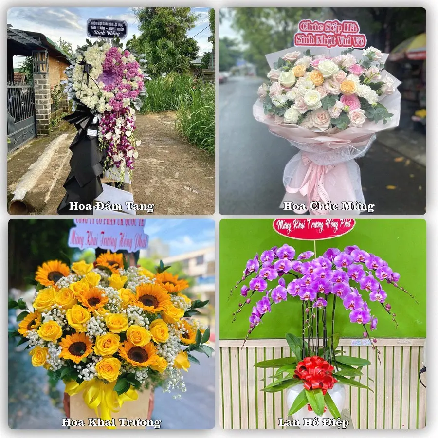 Tư vấn chọn hoa theo từng dịp tại Sầm Sơn, Thanh Hóa