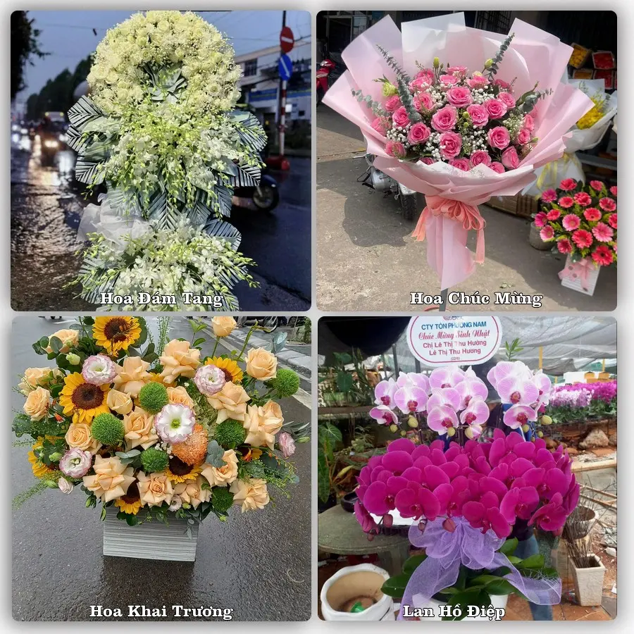 Mẫu hoa tươi dành cho khách đặt hoa tại Sơn La