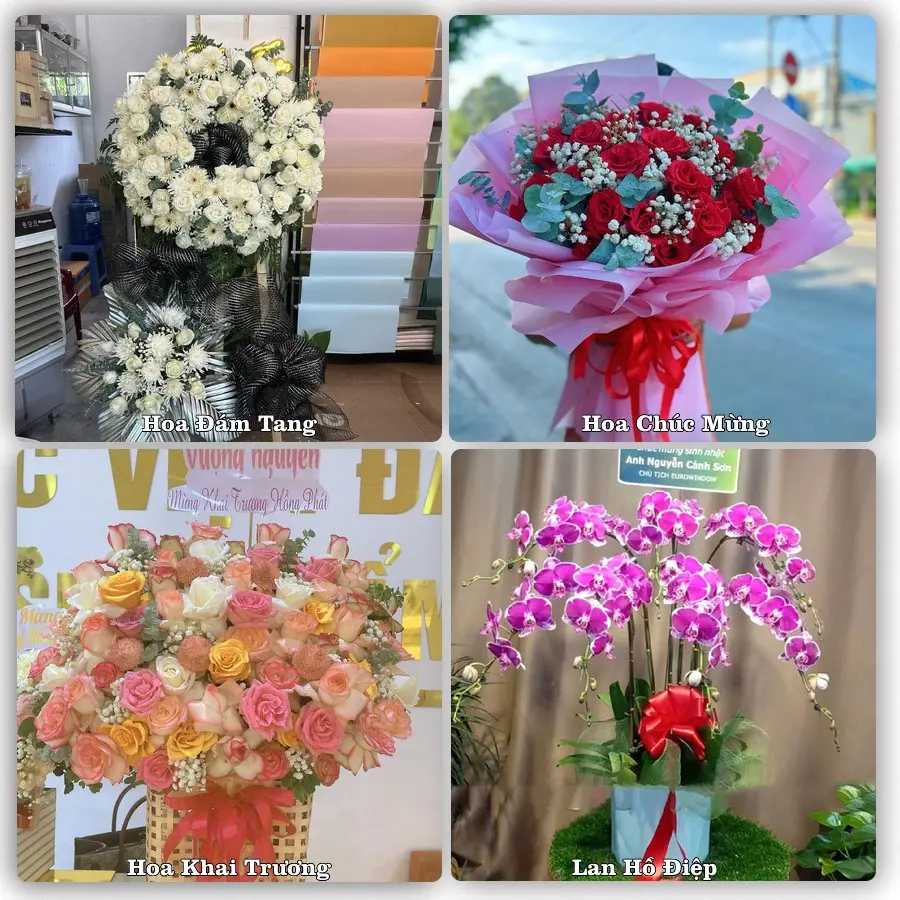 Mẫu hoa tươi dành cho khách đặt hoa tại Sông Công, Thái Nguyên