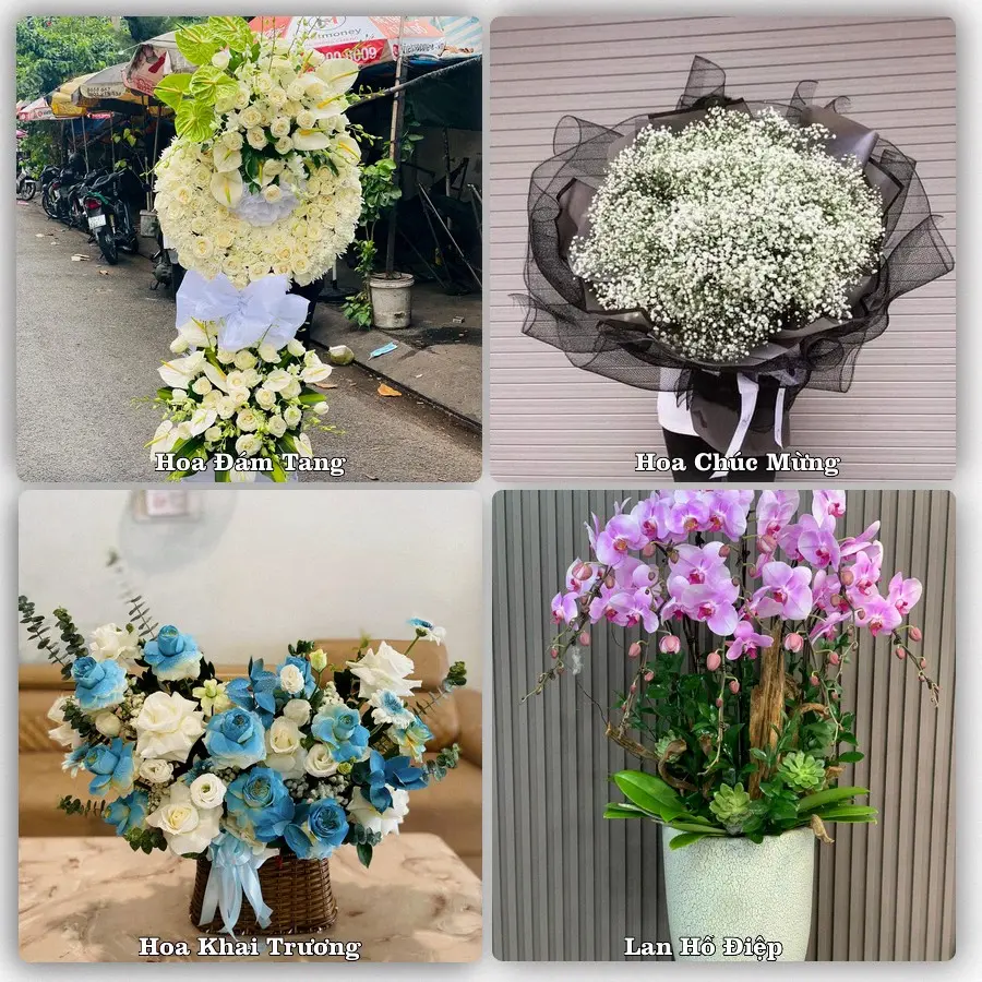 Mẫu hoa tươi dành cho khách đặt hoa tại Tam Kỳ, Quảng Nam