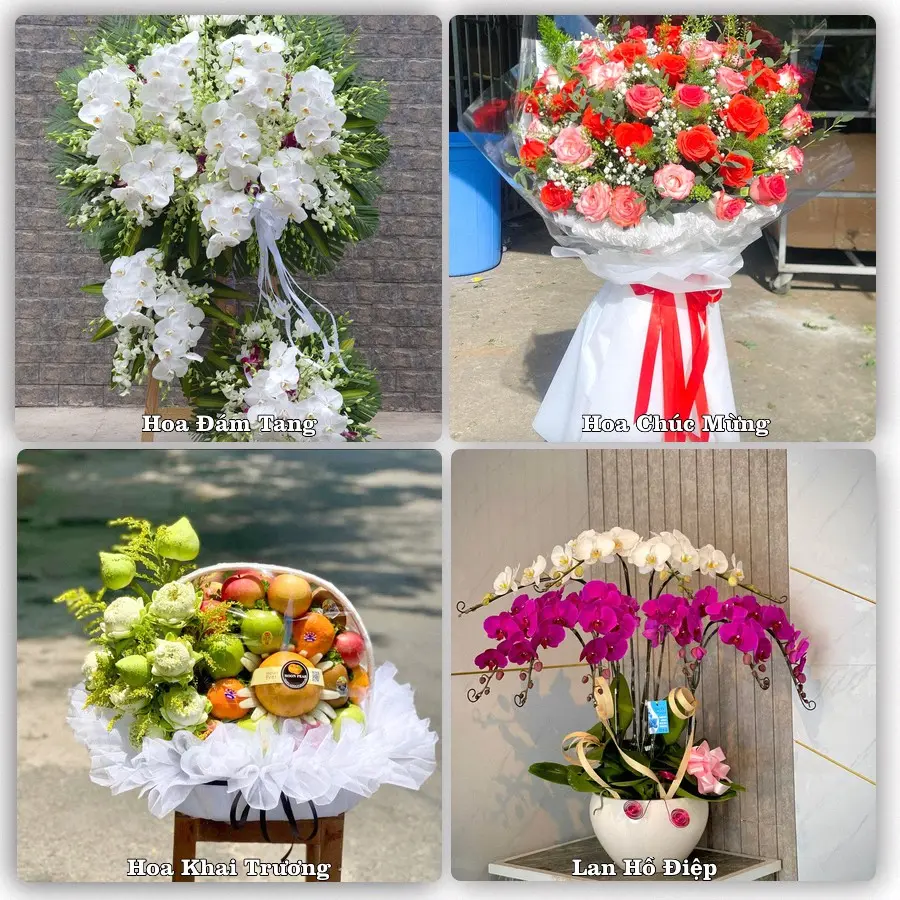 Tư vấn chọn hoa theo từng dịp tại Tam Kỳ, Quảng Nam