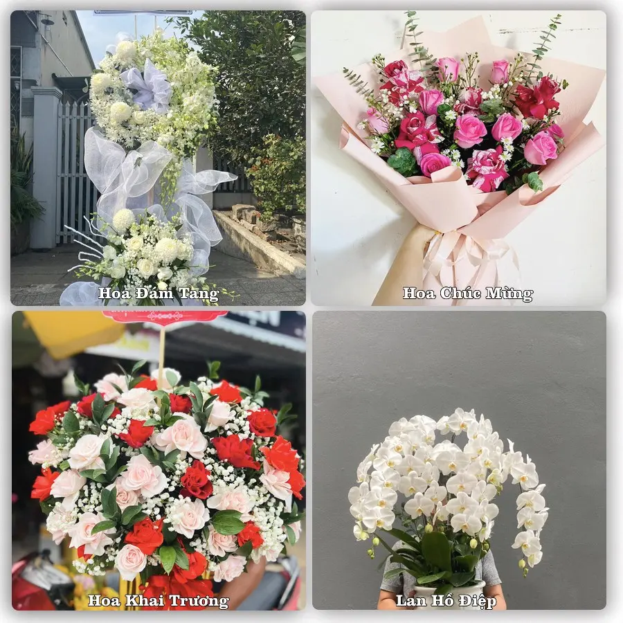 Tư vấn chọn hoa theo từng dịp tại Thái Bình
