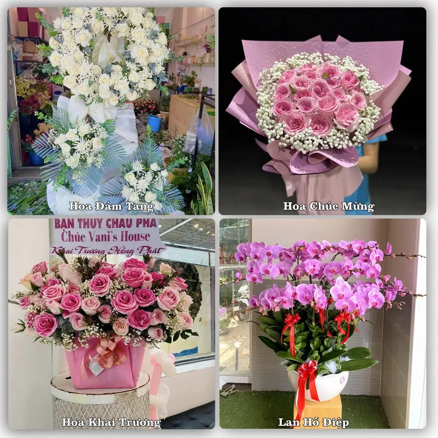 Tư vấn chọn hoa theo từng dịp tại Thái Nguyên