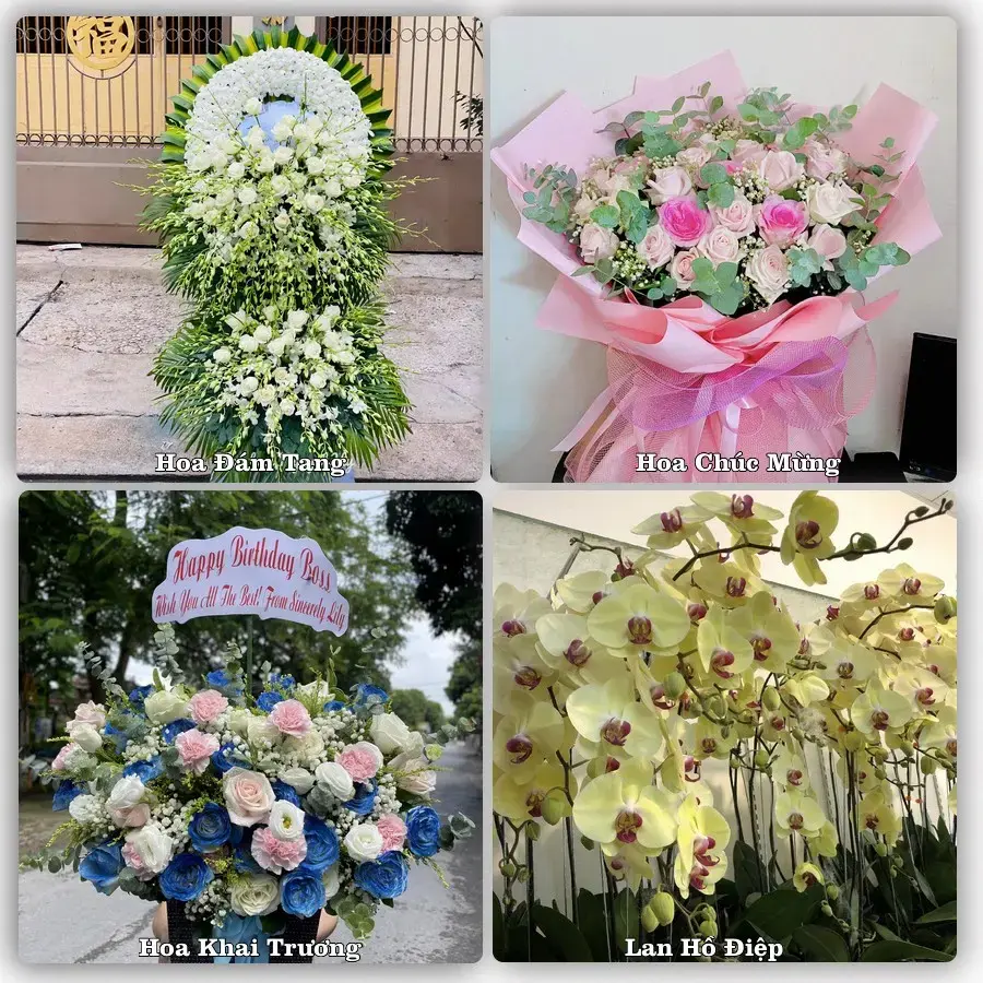 Tư vấn chọn hoa theo từng dịp tại Tuyên Quang