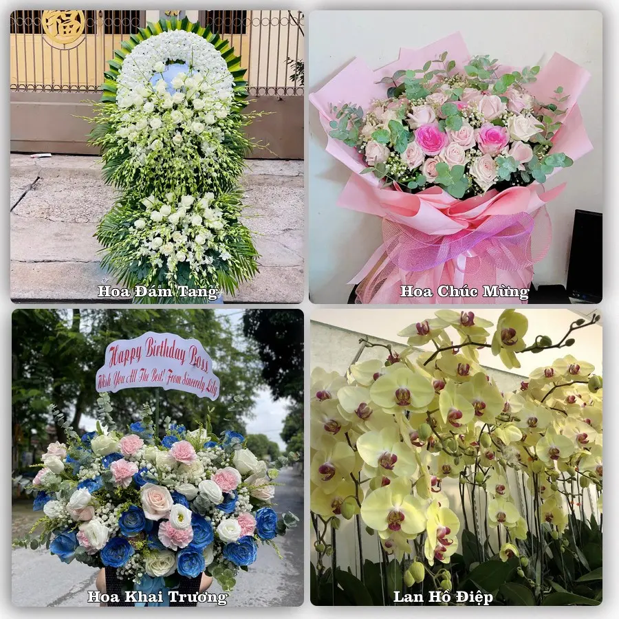 Tư vấn chọn hoa theo từng dịp tại Tuyên Quang