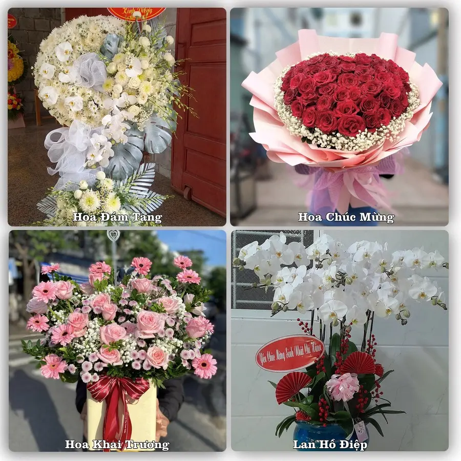 Mẫu hoa tươi dành cho khách đặt hoa tại Việt Trì, Phú Thọ