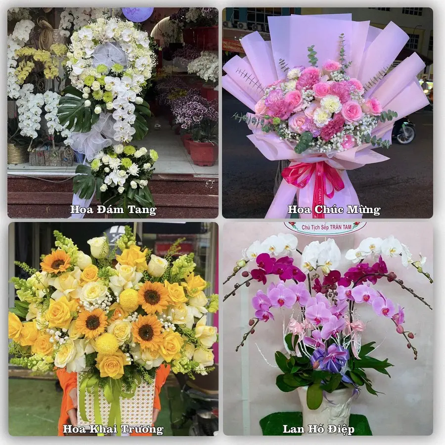 Tư vấn chọn hoa theo từng dịp tại Việt Trì, Phú Thọ