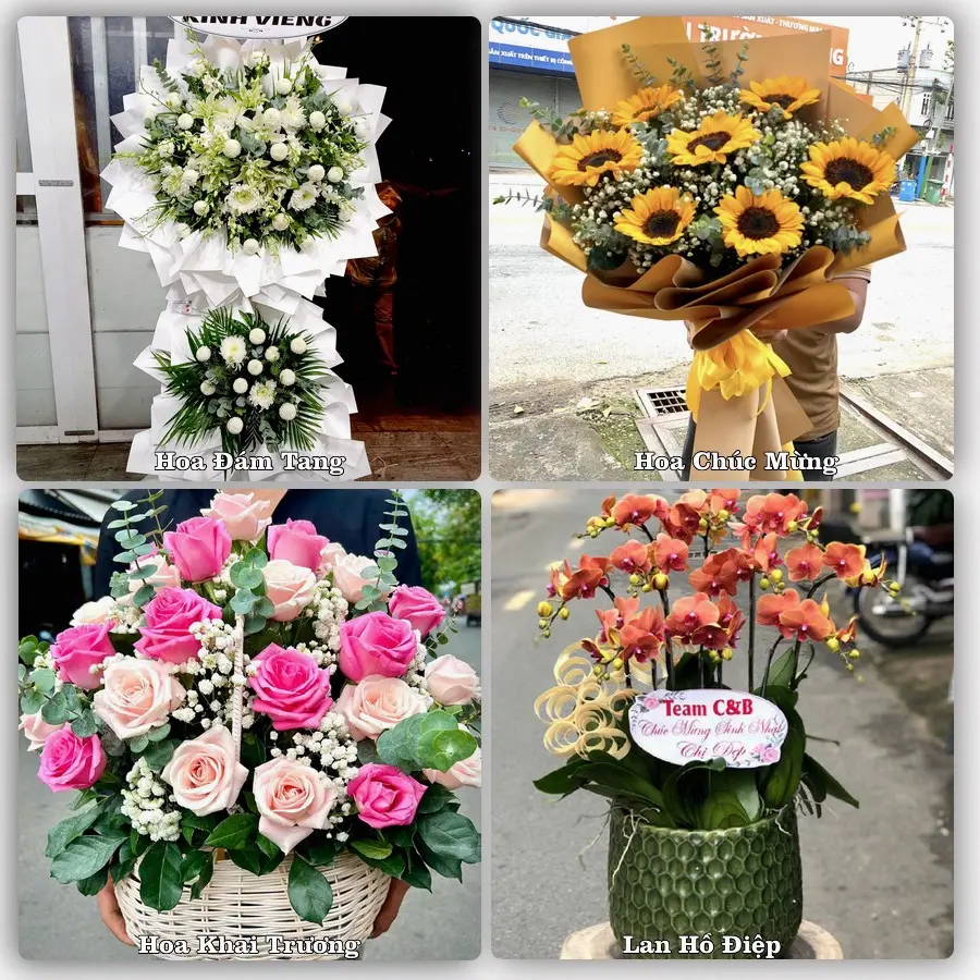 Mẫu hoa tươi dành cho khách đặt hoa tại An Lạc Thôn, Kế Sách