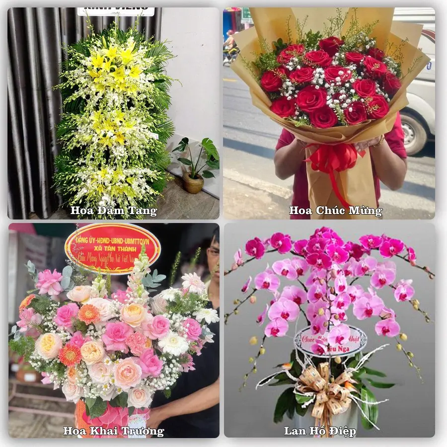 Tư vấn chọn hoa theo từng dịp tại An Lạc Thôn, Kế Sách