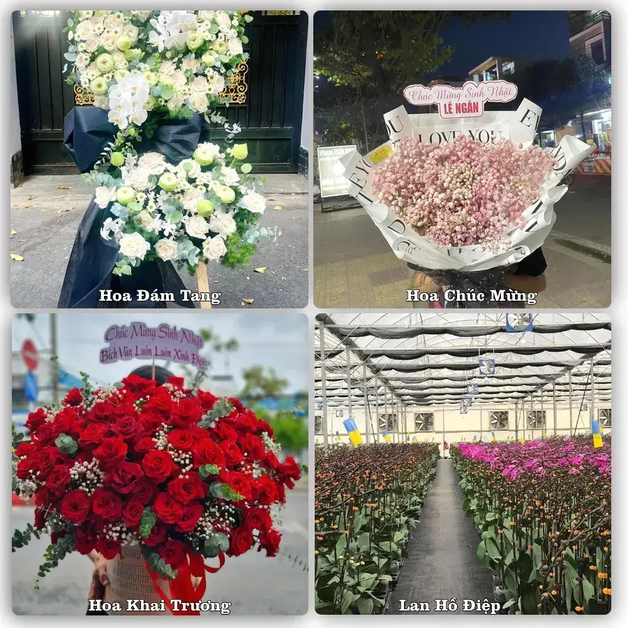 Shop hoa tươi Búng Tàu, Phụng Hiệp – Giao tận nơi trong 2 giờ