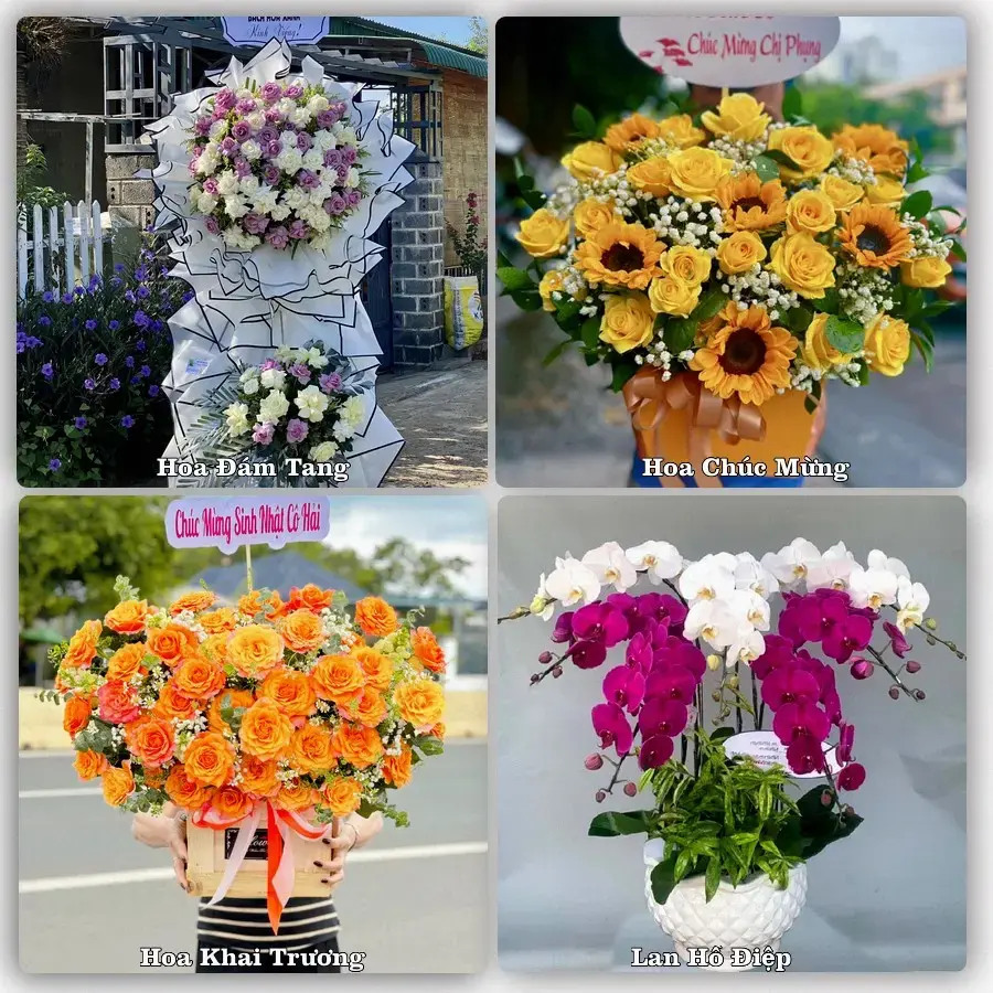 Tư vấn chọn hoa theo từng dịp tại Búng Tàu, Phụng Hiệp