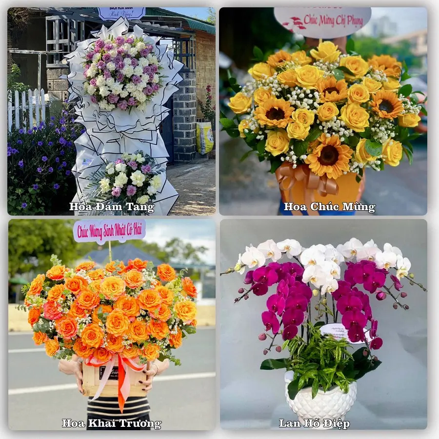 Tư vấn chọn hoa theo từng dịp tại Búng Tàu, Phụng Hiệp