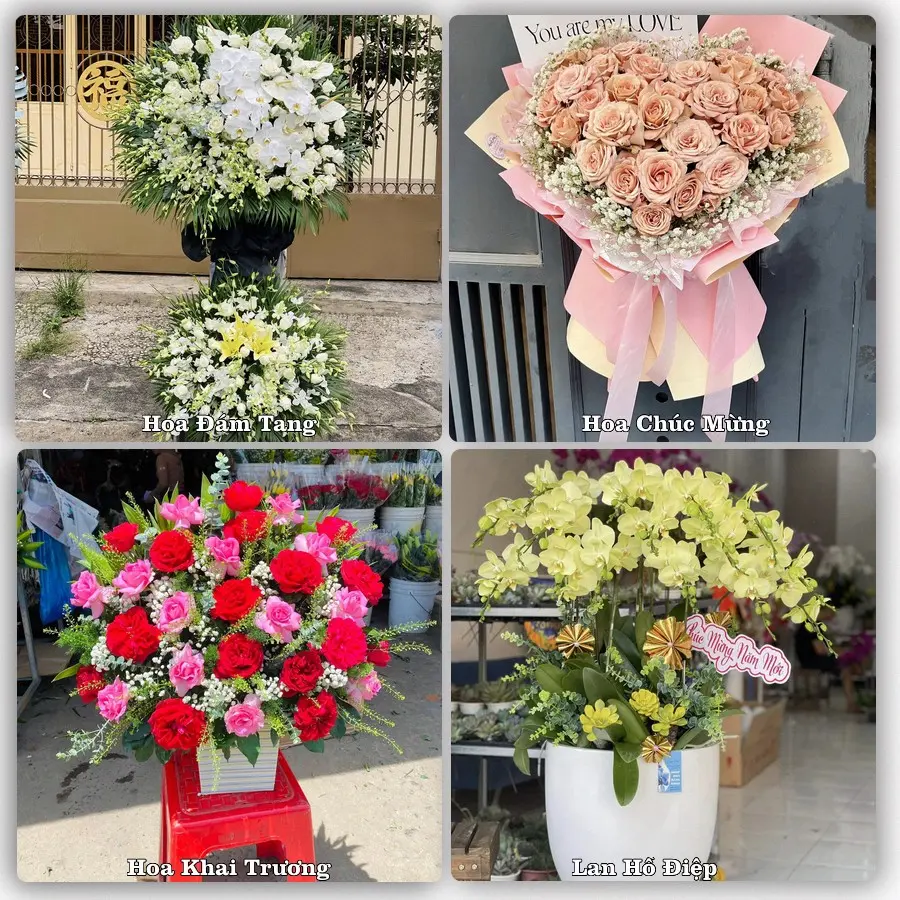 Tư vấn chọn hoa theo từng dịp tại Cái Đôi Vàm, Phú Tân