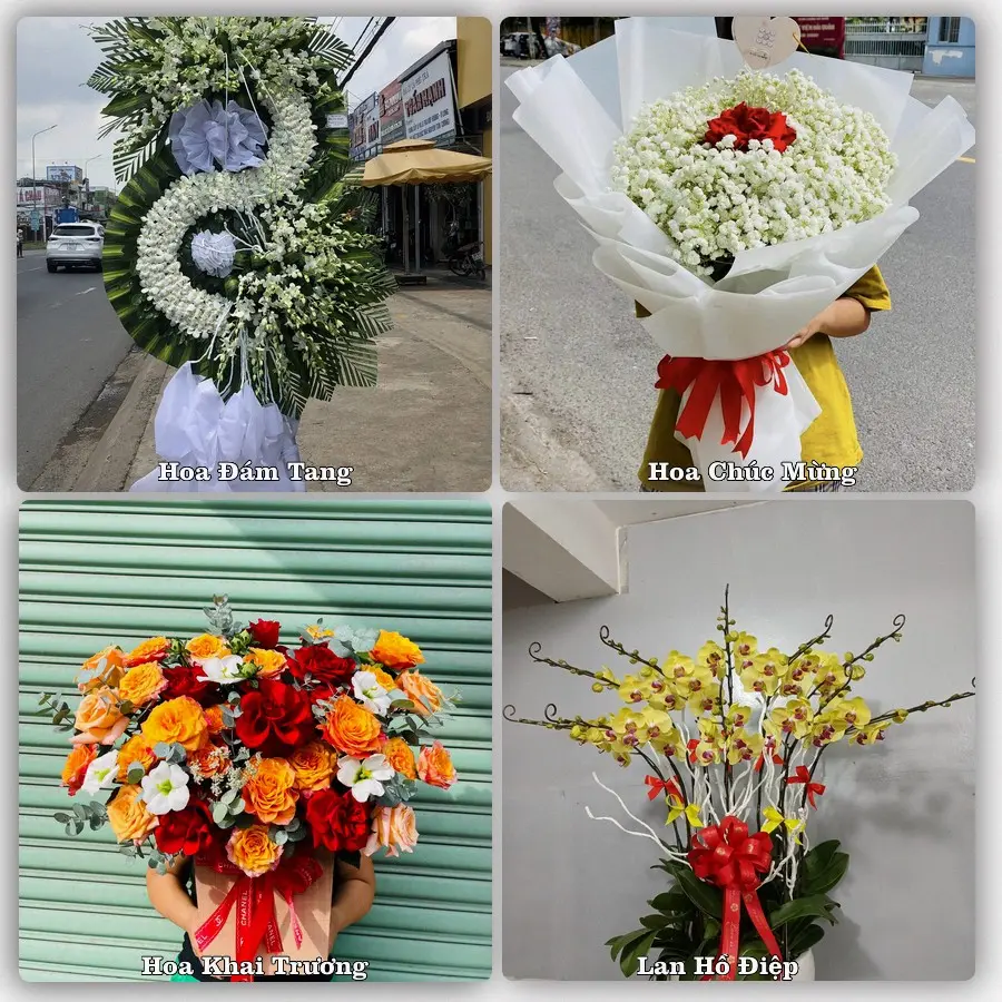 Tư vấn chọn hoa theo từng dịp tại Cái Nước