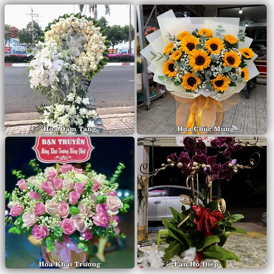 Mẫu hoa tươi dành cho khách đặt hoa tại Cây Dương, Phụng Hiệp