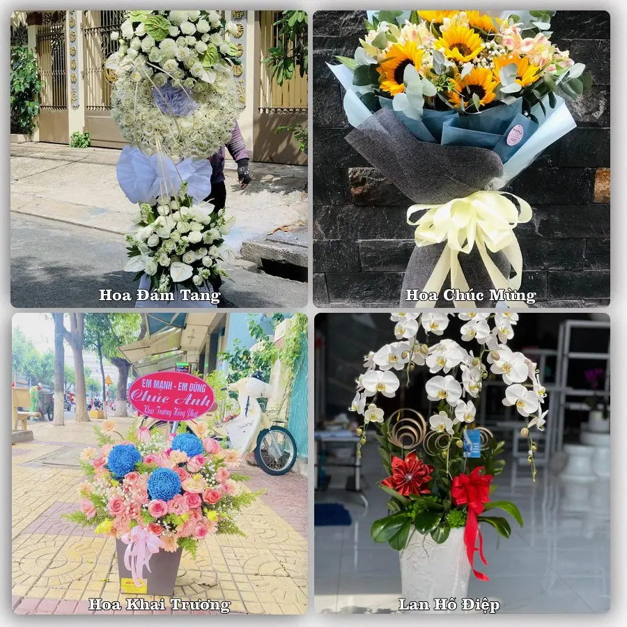 Tư vấn chọn hoa theo từng dịp tại Cây Dương, Phụng Hiệp