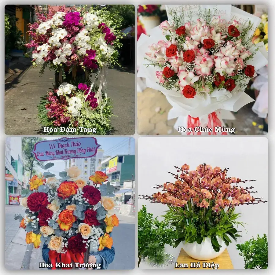 Shop hoa tươi Châu Hưng, Vĩnh Lợi – Giao tận nơi trong 2 giờ