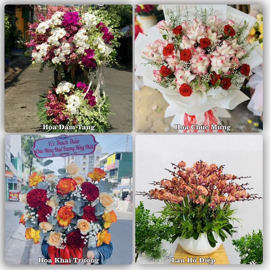 Mẫu hoa tươi dành cho khách đặt hoa tại Châu Hưng, Vĩnh Lợi