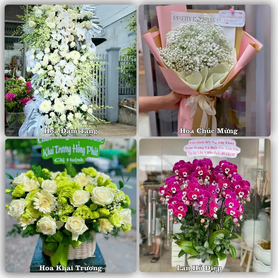 Mẫu hoa tươi dành cho khách đặt hoa tại Châu Thành