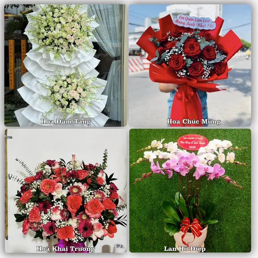 Tư vấn chọn hoa theo từng dịp tại Cờ Đỏ