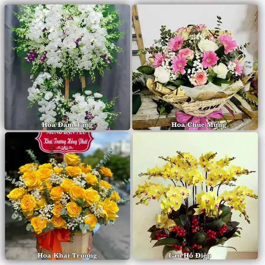 Shop hoa tươi Cù Lao Dung – Giao tận nơi trong 2 giờ