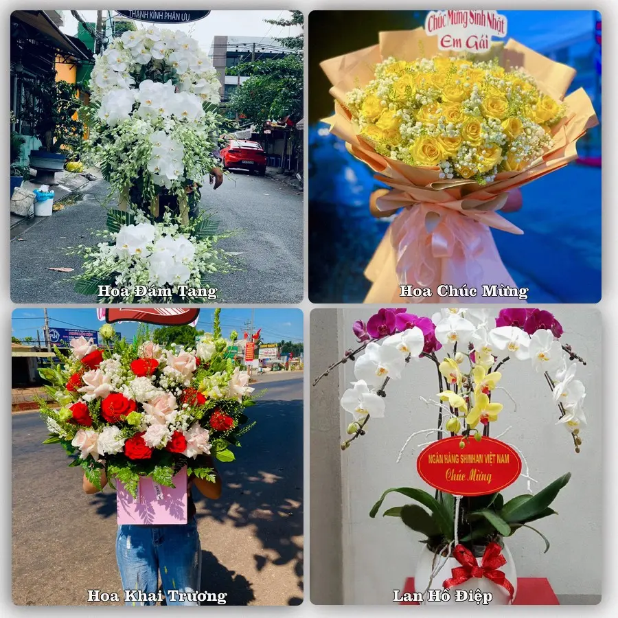 Mẫu hoa tươi dành cho khách đặt hoa tại Đại Ngãi, Long Phú
