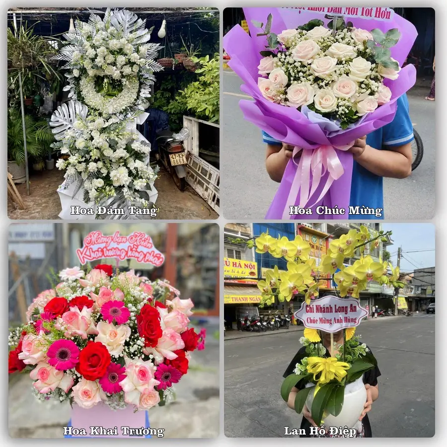 Tư vấn chọn hoa theo từng dịp tại Đại Ngãi, Long Phú