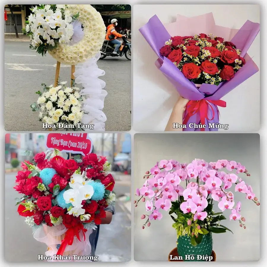 Shop hoa tươi Đầm Dơi – Giao tận nơi trong 2 giờ