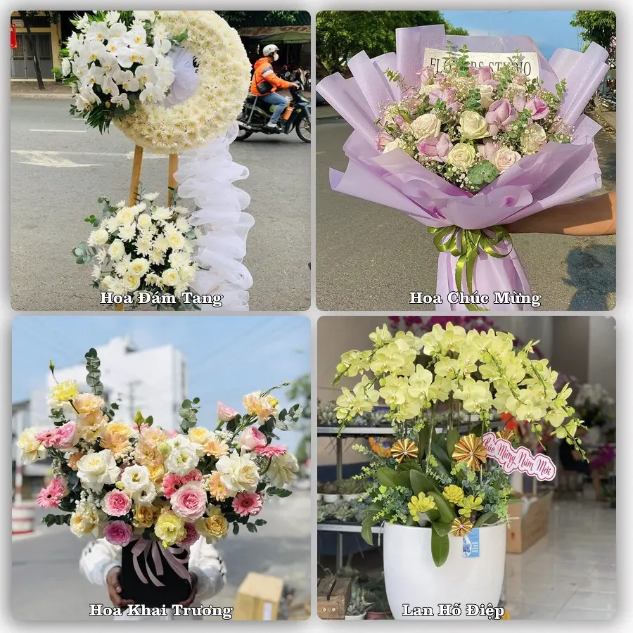 Tư vấn chọn hoa theo từng dịp tại Đầm Dơi